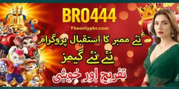BRO444 Game